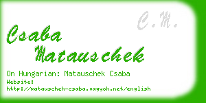 csaba matauschek business card